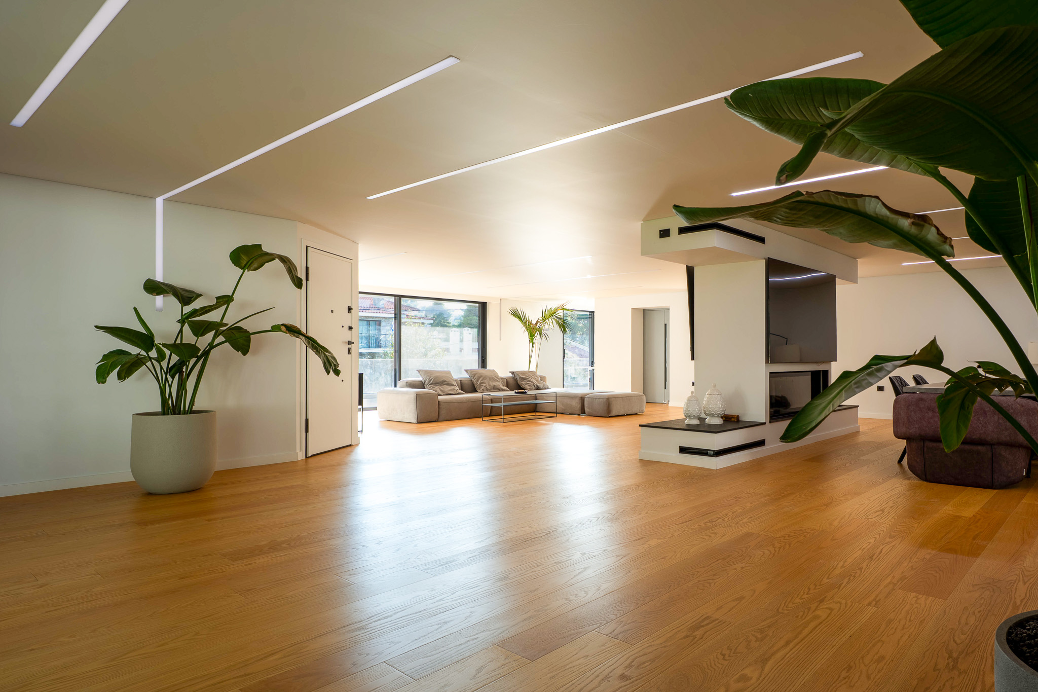 Villa Bond, foyer with potted palm and sliding entrance door